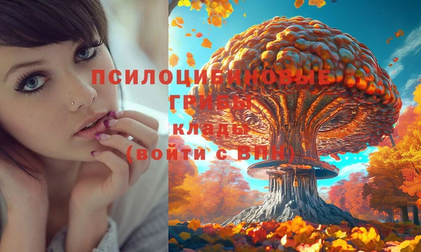 мет Медногорск